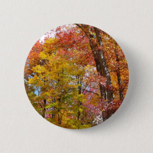 Badge Rond 5 Cm Arbres d'automne orange et jaune Photographie d'au