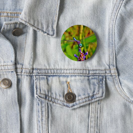 Badge Rond 5 Cm Arc en ciel libellule et fleur (En situation)