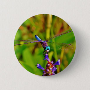 Badge Rond 5 Cm Arc en ciel libellule et fleur