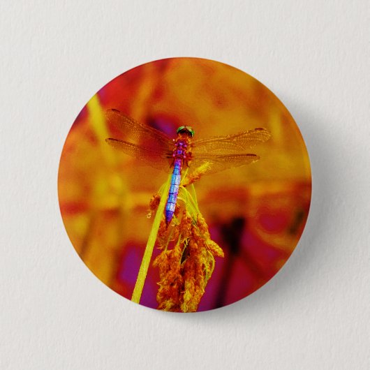 Badge Rond 5 Cm Arc-en-ciel libellule sur ambre et fuschie (Devant)