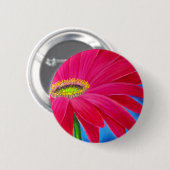 BADGE ROND 5 CM ART DE FLEUR DE MARGUERITE - MULTI (Devant & derrière)
