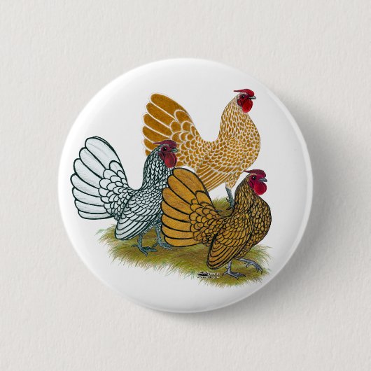 Badge Rond 5 Cm Assortiment de coq de Sebright (Devant)