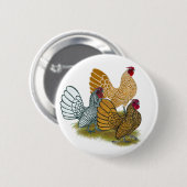 Badge Rond 5 Cm Assortiment de coq de Sebright (Devant & derrière)