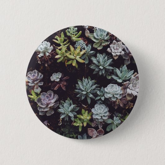 Badge Rond 5 Cm Assortiment de petits Plantes succulents (Devant)