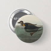 Badge Rond 5 Cm Audubon American Scoter Duck Classic (Devant & derrière)