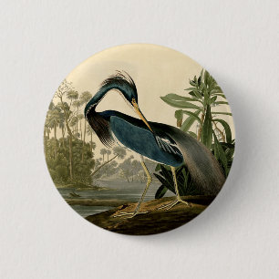 Badge Rond 5 Cm Audubon Louisiana Heron Birds America Art