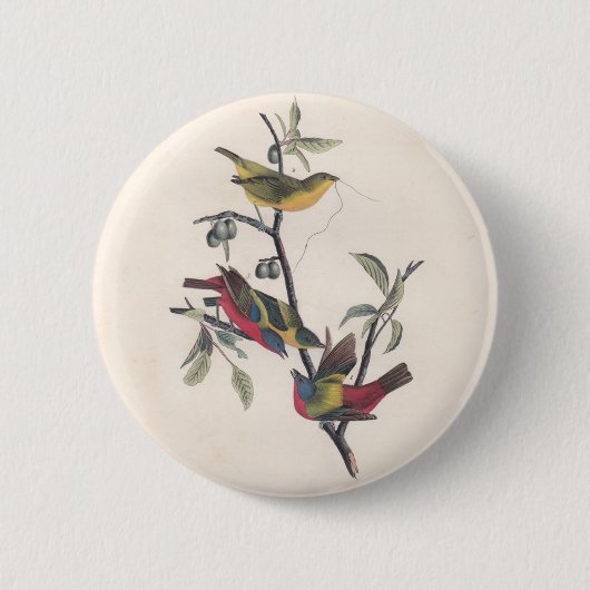 Badge Rond 5 Cm Audubon Peint Bunting Bird Wildlife (Devant)