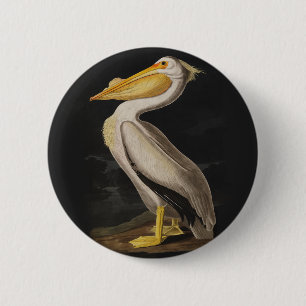 Badge Rond 5 Cm Audubon White Pelican Bird Imprimer Vintage
