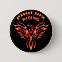 AUGMENTATION DE PHOENIX