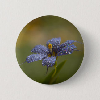 Badge Rond 5 Cm Aux yeux bleus déwy