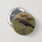 Badge Rond 5 Cm B10 Buse de Swainson (Devant & derrière)