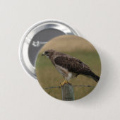 Badge Rond 5 Cm B10 Buse de Swainson (Devant & derrière)