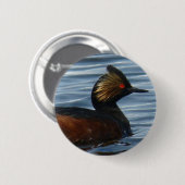 Badge Rond 5 Cm B13 Grebe comblé (Devant & derrière)