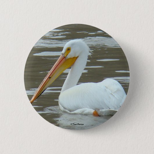 Badge Rond 5 Cm B15 Pélican blanc (Devant)