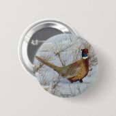 Badge Rond 5 Cm B22 Faisan de Colchide (Devant & derrière)