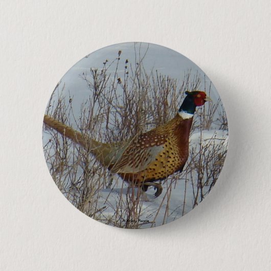 Badge Rond 5 Cm B23 Faisan de Colchide . (Devant)