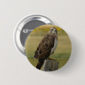Badge Rond 5 Cm B33 Buse de Swainson (Devant & derrière)