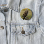 Badge Rond 5 Cm B33 Buse de Swainson (En situation)