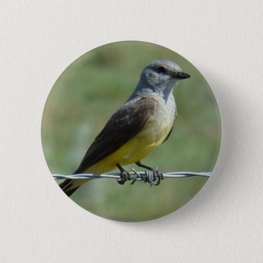 Badge Rond 5 Cm B44 Kingbird occidental (Devant)