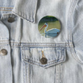 Badge Rond 5 Cm B4 Pélican blanc (En situation)
