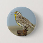 Badge Rond 5 Cm B6 Meadowlark occidental (Devant)
