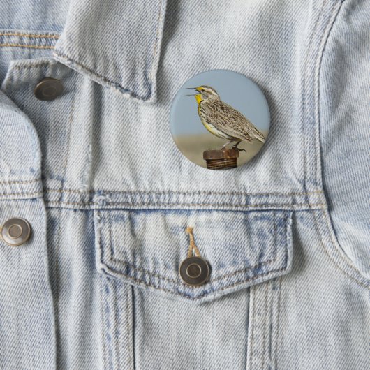 Badge Rond 5 Cm B6 Meadowlark occidental (En situation)