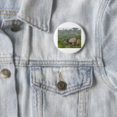 Badge Rond 5 Cm Baboon sur un rocher (En situation)