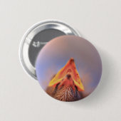Badge Rond 5 Cm Baby Bird 2 (Devant & derrière)