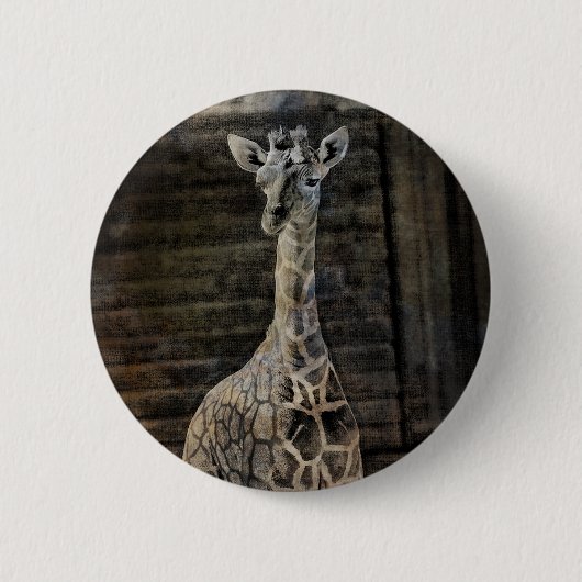 Badge Rond 5 Cm Baby Giraffe (Devant)