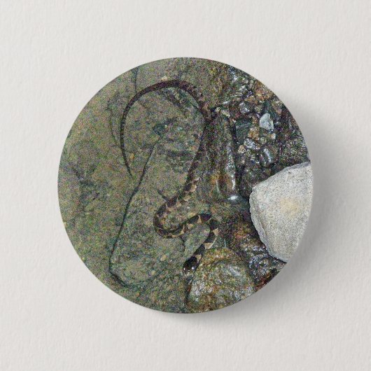 Badge Rond 5 Cm Baby Northern Water Snake (Nerodia sipedon) Articl (Devant)