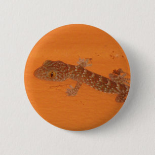 Badge Rond 5 Cm Baby Tokay Gecko