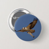 Badge Rond 5 Cm Balbuzard Fisher (Devant & derrière)