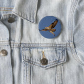 Badge Rond 5 Cm Balbuzard Fisher (En situation)