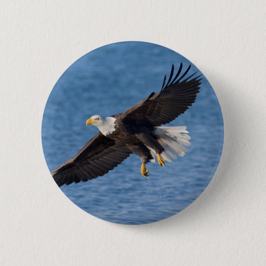 Badge Rond 5 Cm Bald eagle in flight (Devant)