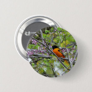 Badge Rond 5 Cm Baltimore Oriole