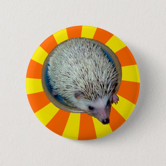 Badge Rond 5 Cm Bam ! Bouton de hérisson (Devant)