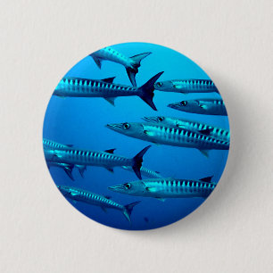 Badge Rond 5 Cm barracuda plongée mer profonde océan eau tropicale