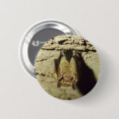 Badge Rond 5 Cm Bat (Devant & derrière)