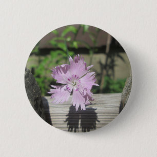 Badge Rond 5 Cm Bath Dianthus