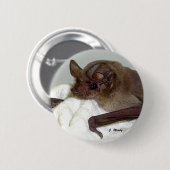 Badge Rond 5 Cm Batte Libre-coupée la queue par Mexicain (Devant & derrière)