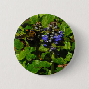 Badge Rond 5 Cm Baume d'abeille pourpre et bourdon