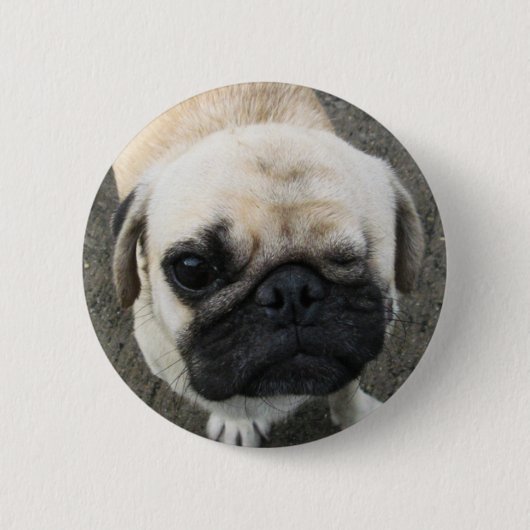 Badge Rond 5 Cm Bauwk ... Chien carlin ... Thaïlande (Devant)