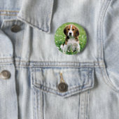 Badge Rond 5 Cm Beagle Puppy (En situation)