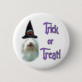 Badge Rond 5 Cm Beared Collie Trick (Devant)