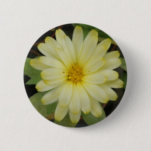Badge Rond 5 Cm Beau Bouton Marigold Jaune