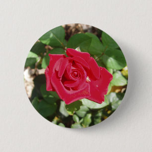 Badge Rond 5 Cm Beau Bouton Rose Rouge