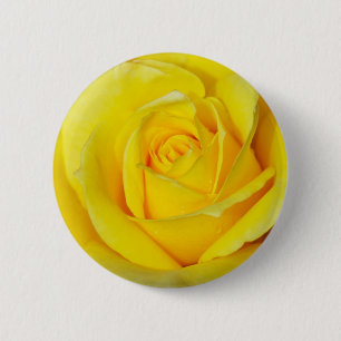 Badge Rond 5 Cm Beau pétales de rose jaune