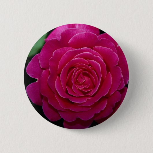 Badge Rond 5 Cm Beau rose de thé hybride 'Tiffany'leaves (Devant)