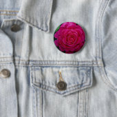 Badge Rond 5 Cm Beau rose de thé hybride 'Tiffany'leaves (En situation)