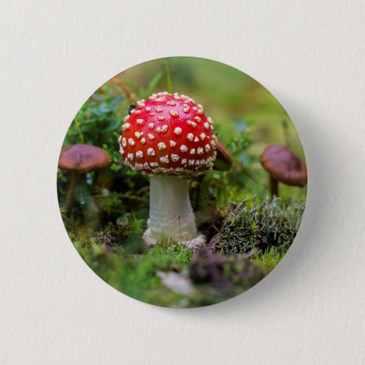 Badge Rond 5 Cm Beauté d'automne (Devant)